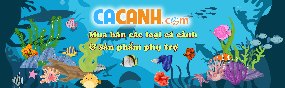 Bệnh viện và phòng khám